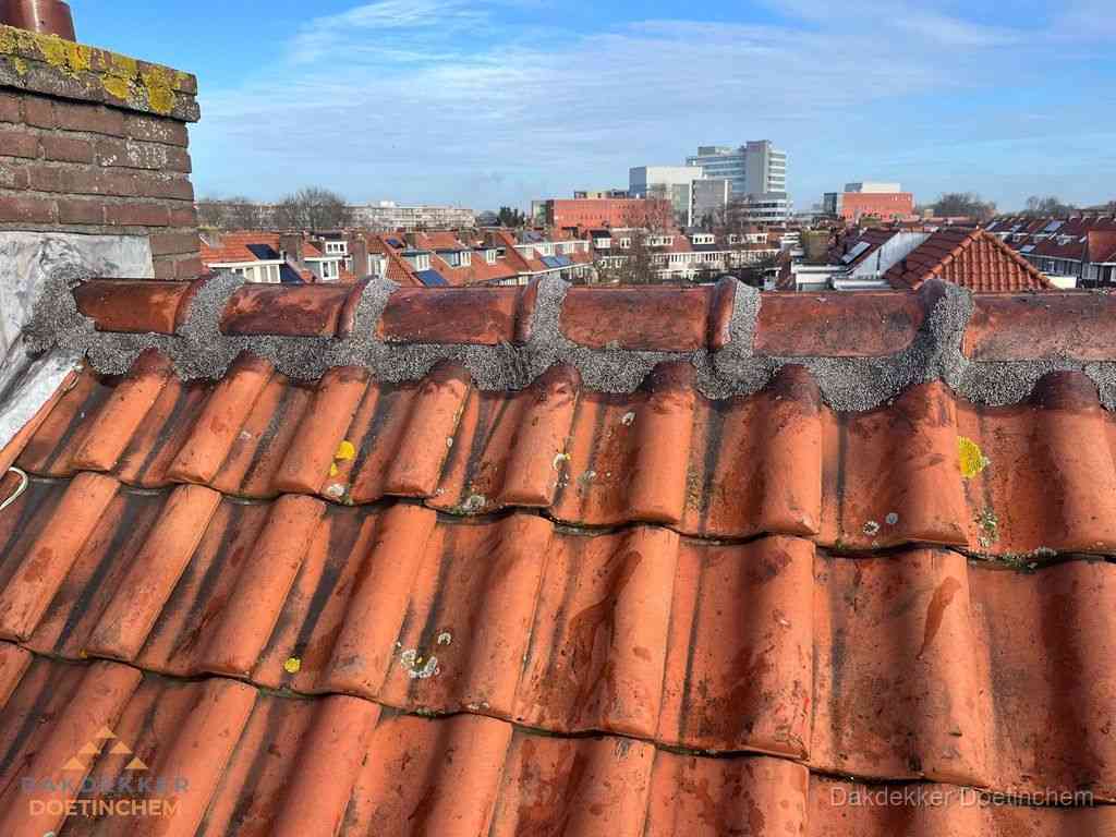 Nieuw bitumen plat dak met uitzicht over woonwijk in Doetinchem