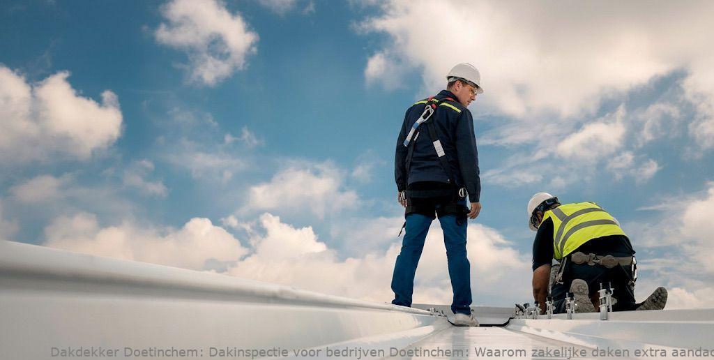 Dakinspectie Voor Bedrijven Doetinchem