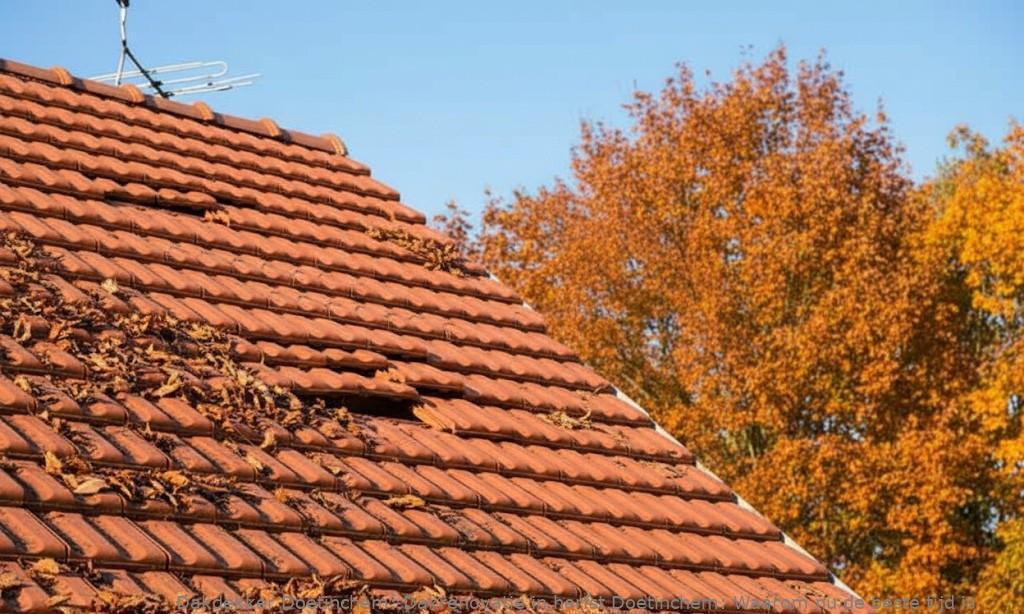 Dakrenovatie In Herfst Doetinchem